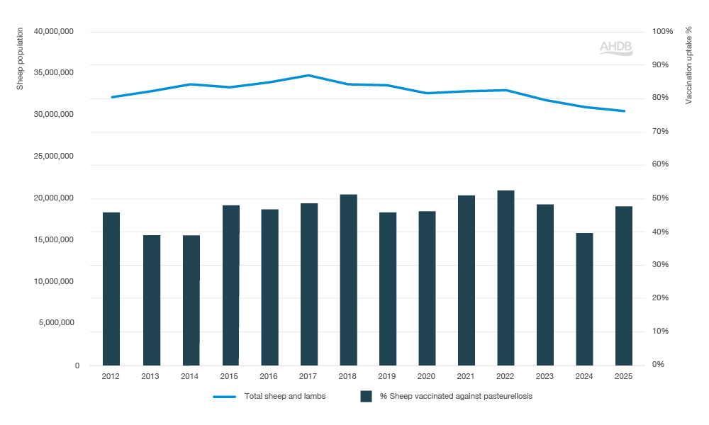 Bar and line chart showing pasturellosis vaccination between 2012–2025.
